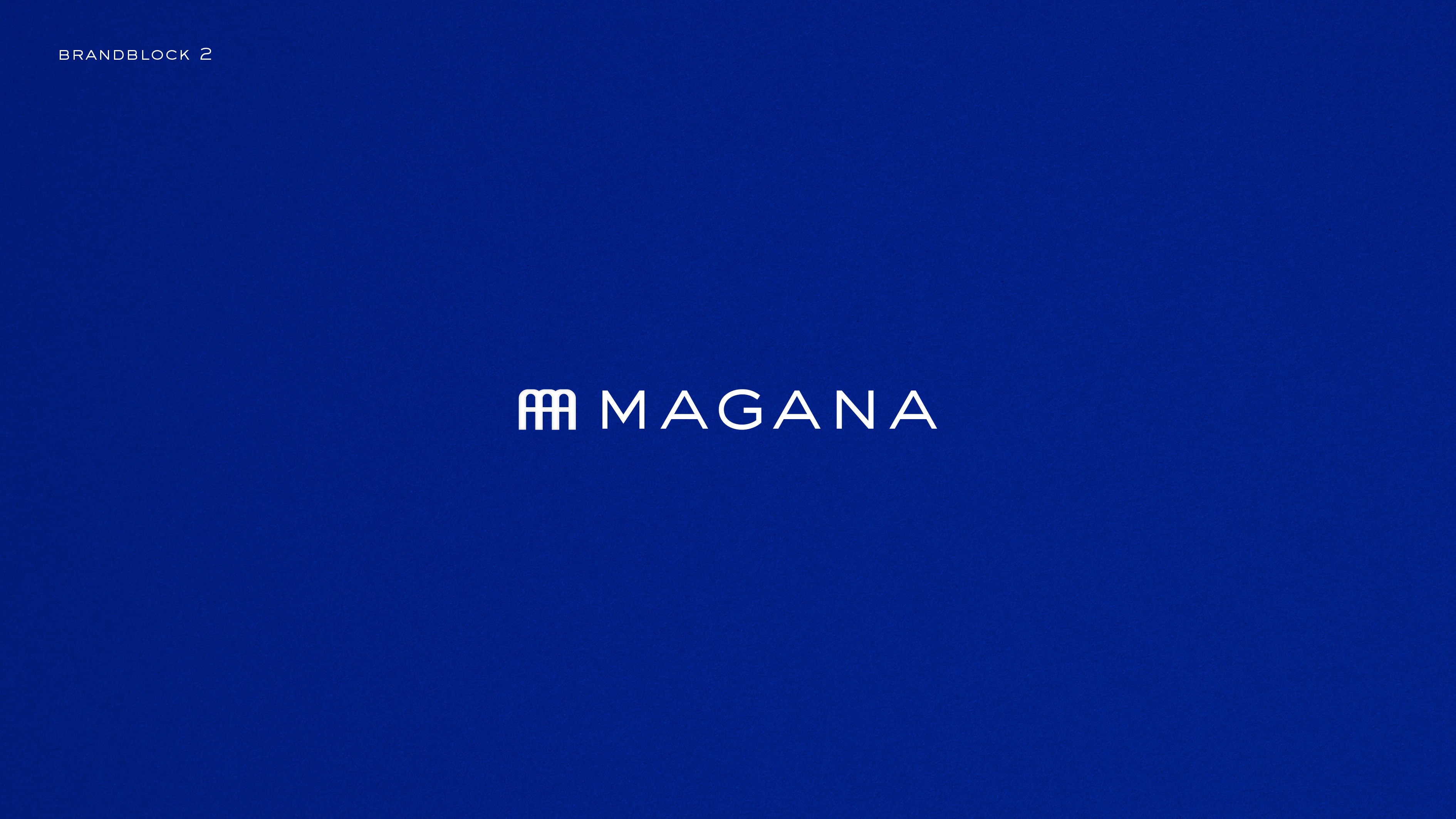 Louis Larrouturou - Art Direction Magana — Identity