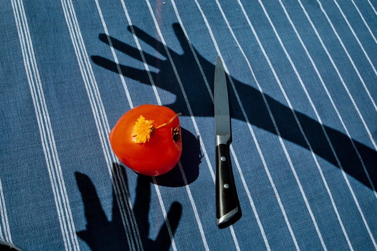 Louis Larrouturou - Art Direction ANCHOLIE