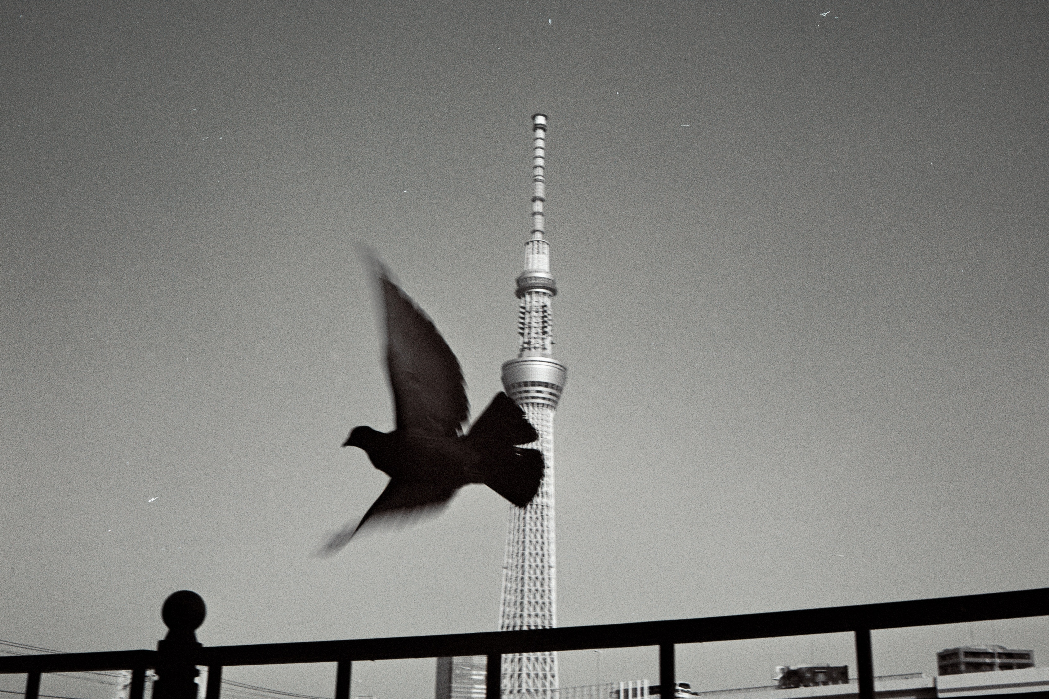 Louis Larrouturou - Art Direction JAPAN BLACK & WHITE