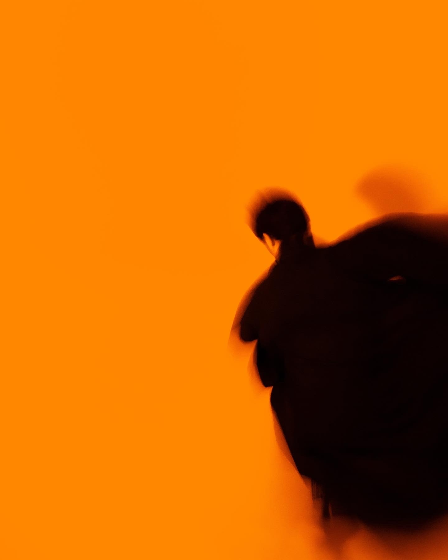 Louis Larrouturou - Art Direction PERSISTANCE RETINIENNE