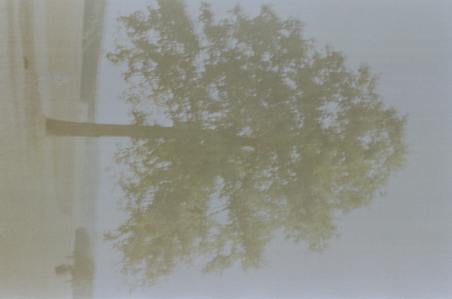 Louis Larrouturou - Art Direction EDEN w/ Layla Blanco